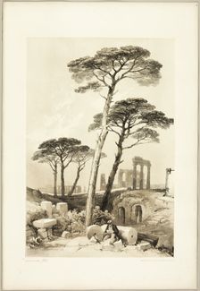 Stone Pines, from The Park and the Forest, 1841. Creator: James Duffield Harding