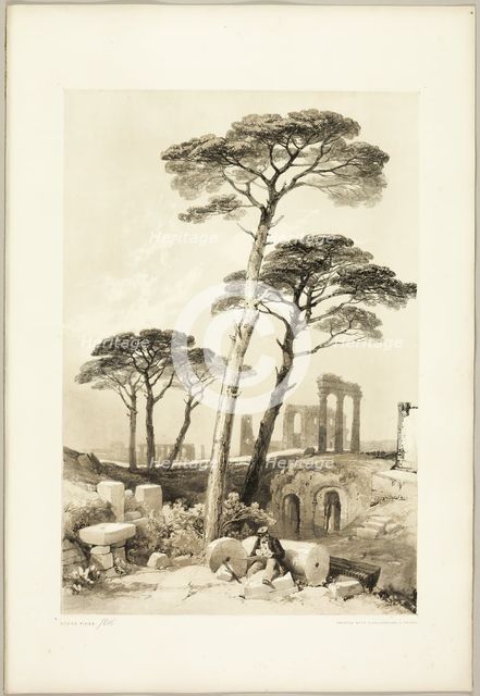 Stone Pines, from The Park and the Forest, 1841. Creator: James Duffield Harding.