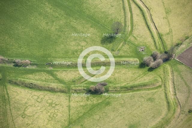 Stonea Camp, Cambridgeshire, c2010s(?). Artist: Damian Grady.