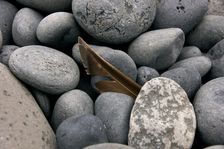 Stones, Iceland B. Creator: Tom Artin