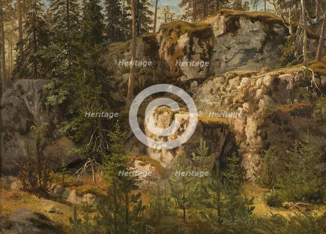 Stony Forest, 1853. Creator: Markus Larsson.