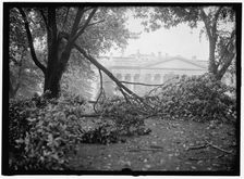 Storm Damage, between 1913 and 1918. Creator: Harris & Ewing