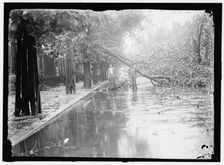 Storm damage, between 1913 and 1918. Creator: Harris & Ewing