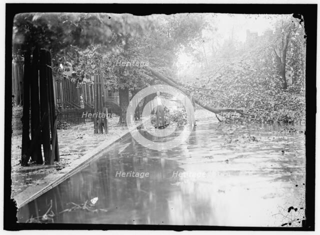 Storm damage, between 1913 and 1918. Creator: Harris & Ewing.