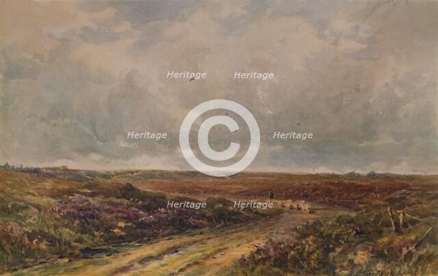 'Stormy Day on a Surrey Common', 19th-20th century, (1935). Artist: John Jessop Hardwick.