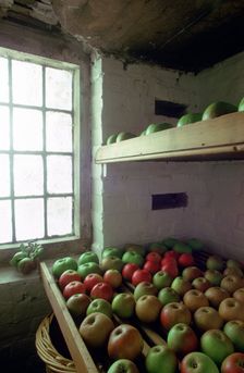 Stored apples. Creator: Tony Evans