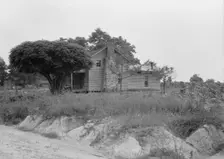 Story-and-a-half weatherboard house, Person County, North Carolina, 1939. Creator: Dorothea Lange