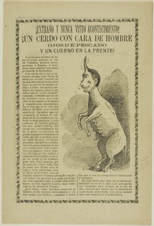Strange and Unheard of Event! A Pig with the Face of a Man, Eyes of a Fish, and a Horn on..., 1900. Creator: José Guadalupe Posada