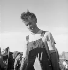 Straw boss of pea packers in the field near Calipatria, Imperial Valley, California, 1939. Creator: Dorothea Lange