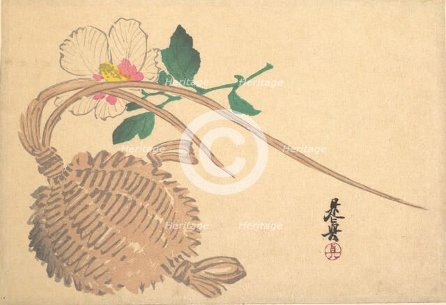 Straw Basket for Fish (?) and Mokuge Flower, ca. 1875., ca. 1875. Creator: Shibata Zeshin.