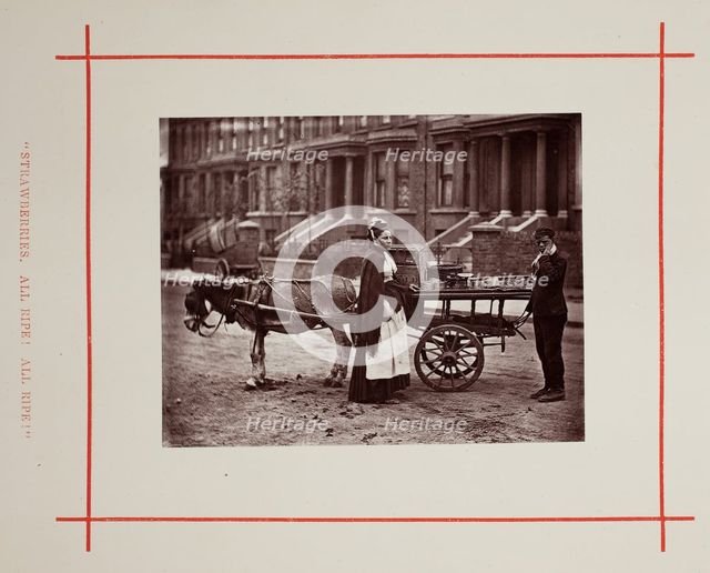 Strawberries. All ripe! All ripe!, 1877. Creator: John Thomson.
