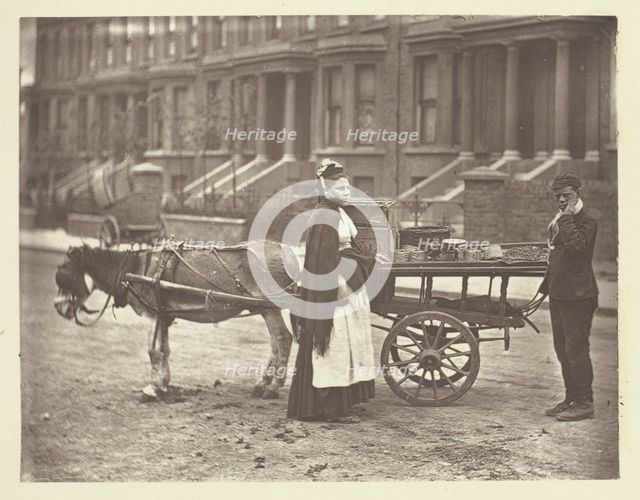 Strawberries. All Ripe! All Ripe!, 1881. Creator: John Thomson.