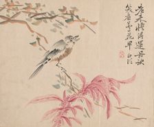 Strawberry Spinach and Nightingale. Creator: Tsubaki Chinzan (Japanese, 1801-1854)