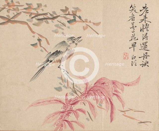 Strawberry Spinach and Nightingale. Creator: Tsubaki Chinzan (Japanese, 1801-1854).