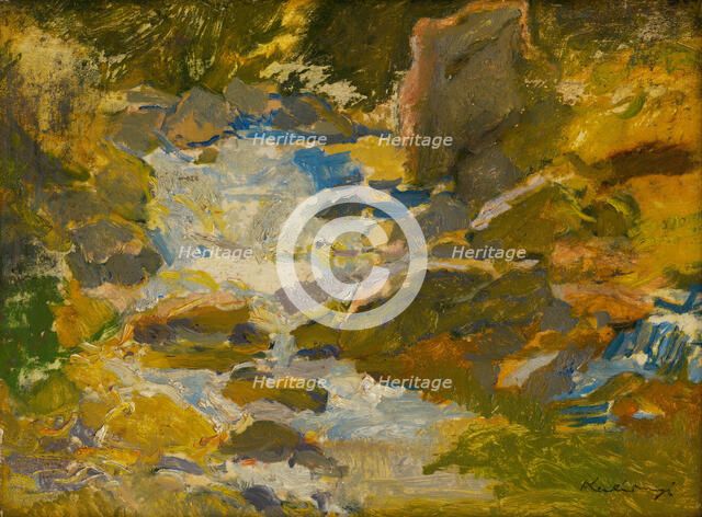 Stream in a forest, c1900. Creator: Alexander Kubinyi.