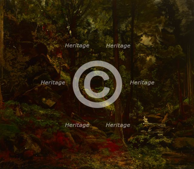 Stream in the Woods, 19th century. Creator: Adolf Dressler.