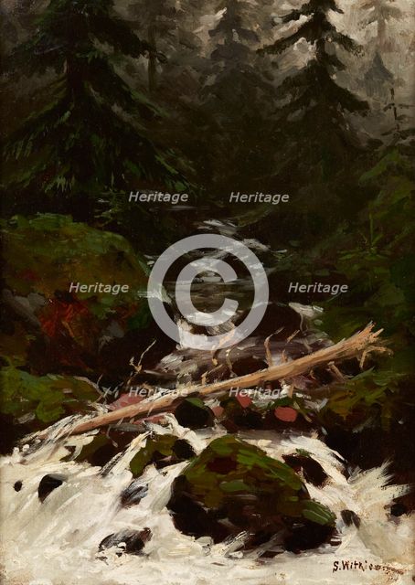 Stream in the Forest, 1893. Creator: Stanislaw Witkiewicz.