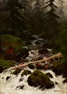 Stream in the Forest, 1893. Creator: Stanislaw Witkiewicz