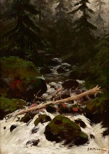 Stream in the Forest, 1893. Creator: Stanislaw Witkiewicz
