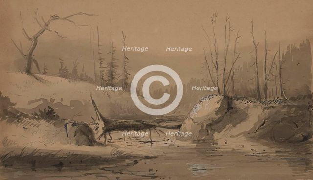 Stream with a Fallen Tree, mid 19th century. Creator: Alfred Jacob Miller.