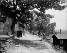 Street in Avondale, Pa., between 1900 and 1906. Creator: Unknown