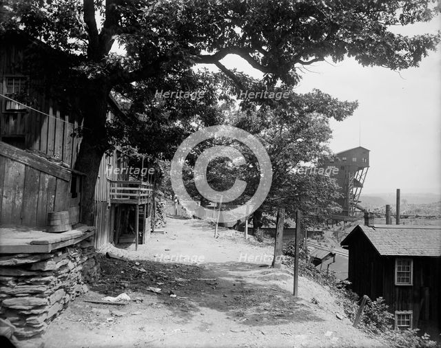 Street in Avondale, Pa., between 1900 and 1906. Creator: Unknown.