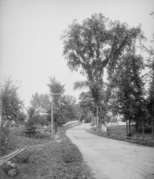Street in Alton Bay, Lake Winnipesaukee, N.H., A, c1906. Creator: Unknown