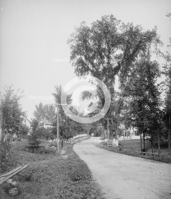 Street in Alton Bay, Lake Winnipesaukee, N.H., A, c1906. Creator: Unknown.
