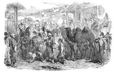 Street in Balaclava, 1854. Creator: Unknown