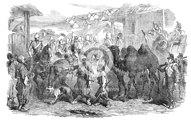 Street in Balaclava, 1854. Creator: Unknown.