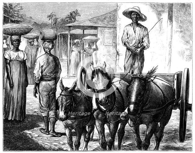Street scene, Haiti, 19th century. Artist: T Wust