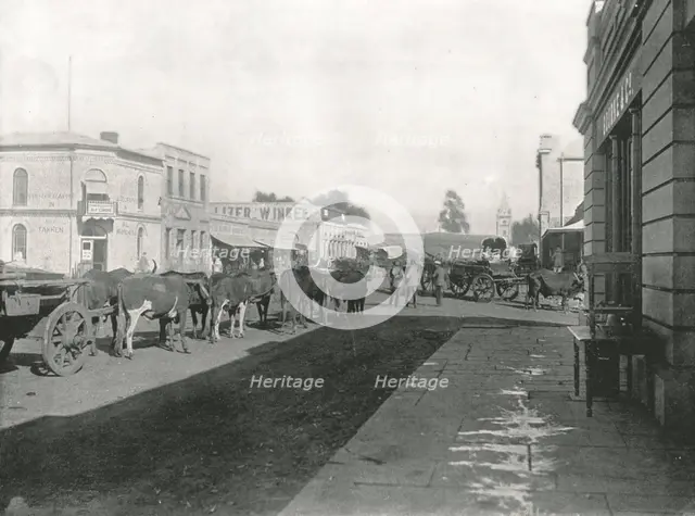 Street scene, Pretoria, South Africa, 1895.  Creator: William Laws Caney.