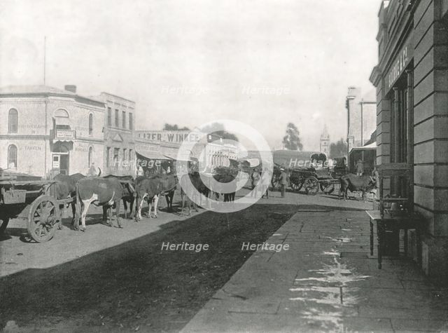 Street scene, Pretoria, South Africa, 1895.  Creator: William Laws Caney.