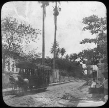 Street scene with horse-drawn tram, Pernambuco, Brazil, late 19th or early 20th century