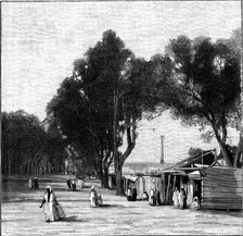 Street scene with Pompey's Pillar in the distance, Alexandria, Egypt, 1900