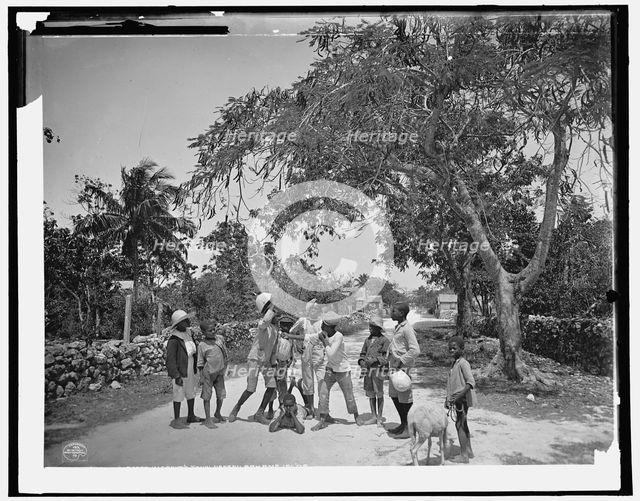 Street scrap in Grant's Town, Nassau, W.I., c1901. Creator: William H. Jackson.