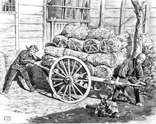 Street sketches in Tokio, Japan: charcoal carriers, 1890. Creator: Unknown