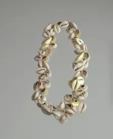 String of cowrie shells, 1800 - 1968. Creator: Unknown