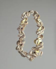 String of cowrie shells, 1800 - 1968. Creator: Unknown