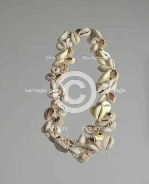String of cowrie shells, 1800 - 1968. Creator: Unknown.