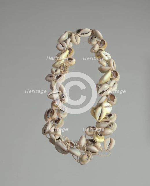 String of cowrie shells, 1800 - 1968. Creator: Unknown.