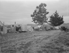 String of five housecars, California, 1936. Creator: Dorothea Lange