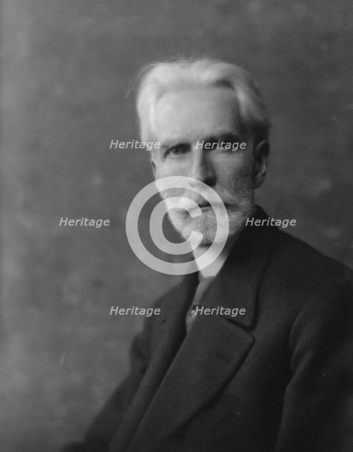 Stringfellow, N.N., Mr., portrait photograph, 1916. Creator: Arnold Genthe.