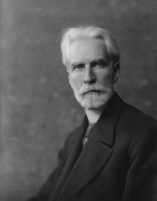 Stringfellow, N.N., Mr., portrait photograph, 1916. Creator: Arnold Genthe