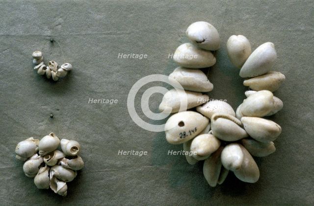 Strings of Cowrie shells. Artist: Unknown