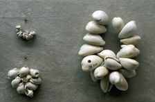 Strings of Cowrie shells