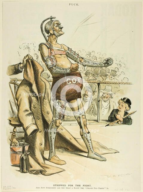 Stripped for the Fight, from Puck, 1892. Creator: William Allen Rogers.