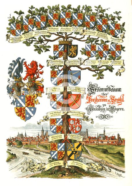 Strohl Heraldic Tree. Artist: H Strohl.