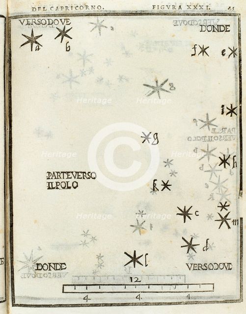 Structure of Capricornus, 1559. Creator: Unknown.