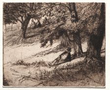 Sub Tegmine, 1859. Creator: Francis Seymour Haden (British, 1818-1910)